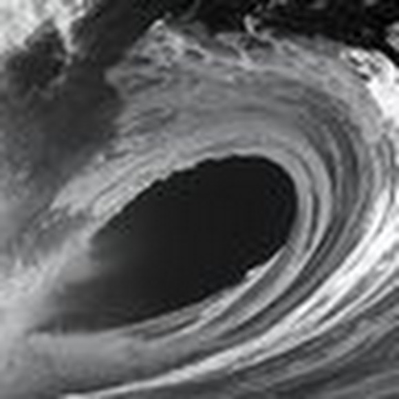 Meet your Posher, Ethan - Picture 1 of 1